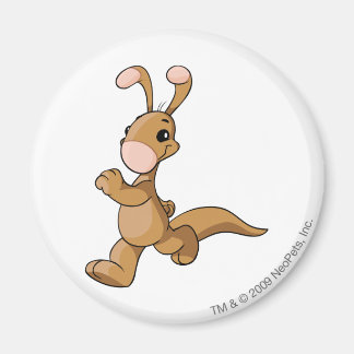 Aimant Blumaroo Brown