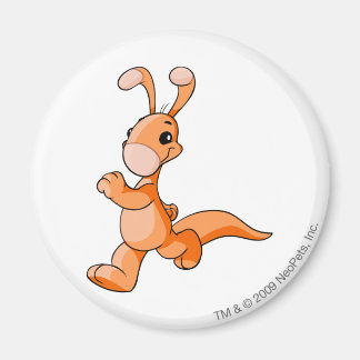 Aimant Blumaroo Orange