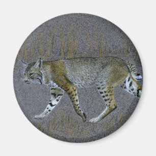 Aimant Bobcat