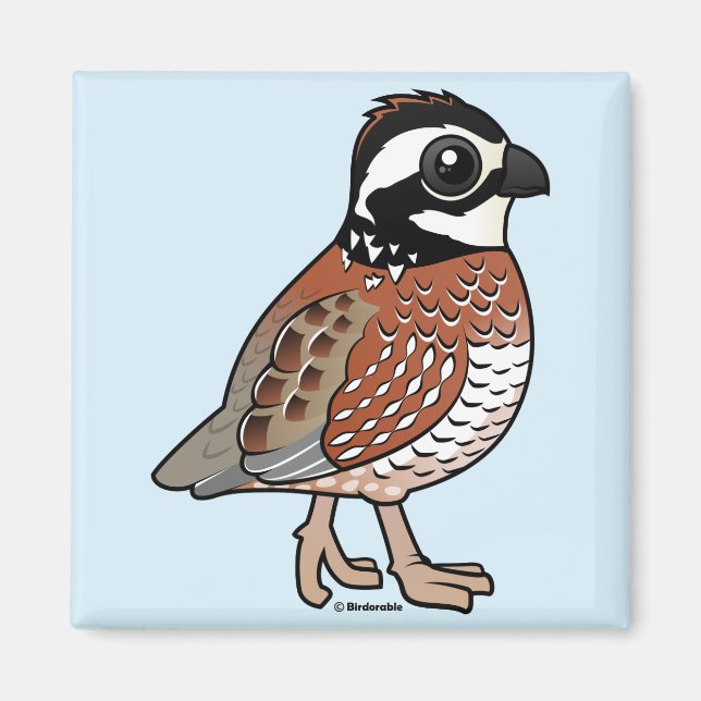 Aimant Bobwhite (Devant)