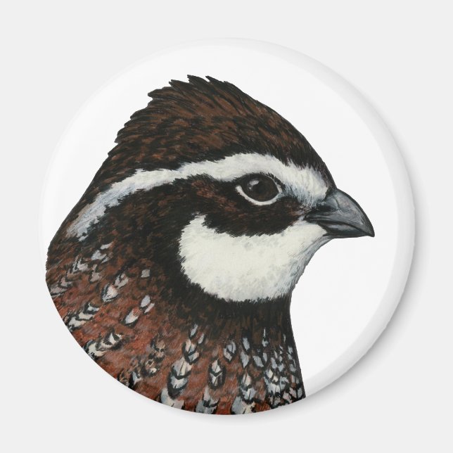 Aimant Bobwhite Quail Head (Devant)