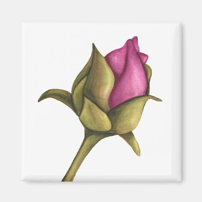 Aimant Boeuf de pivoine (Devant)