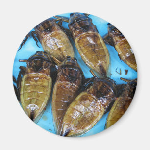 Aimant Bogue d'eau géante frite (Maeng Daa) ... Alimentat