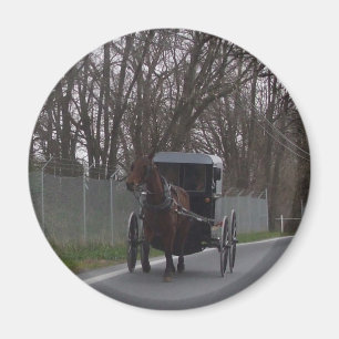 Aimant Boguet amish