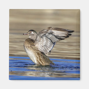 Aimant Bois Canard battant ses ailes