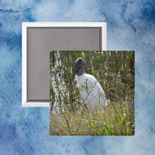Aimant Bois cigogne Oiseaux Terres humides Floride Photo