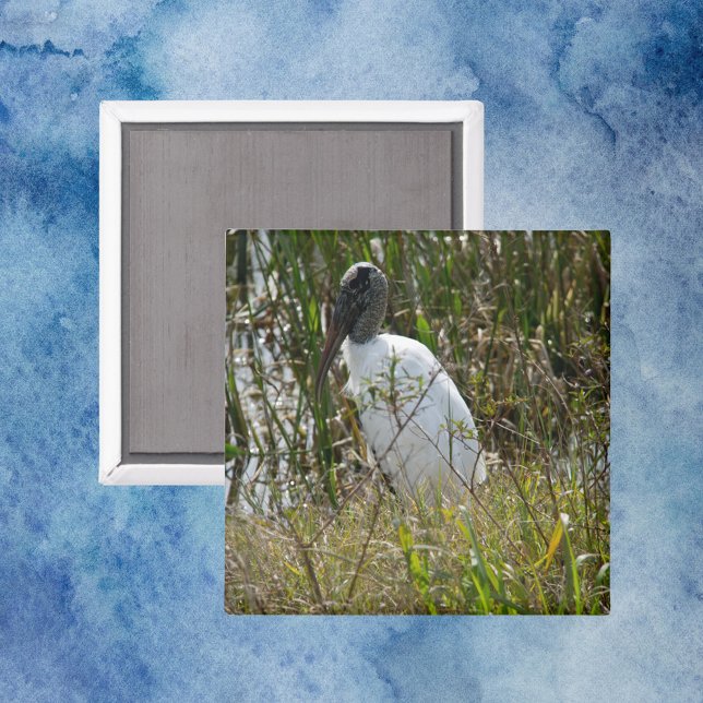 Aimant Bois cigogne Oiseaux Terres humides Floride Photo (A magnet with a photo of a wood stork bird in Florida)