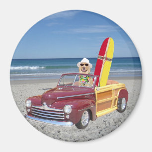 Aimant Bois de conduite du laboratoire jaune