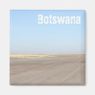 Aimant Bois de sel du Botswana Savannah Savanna Nature