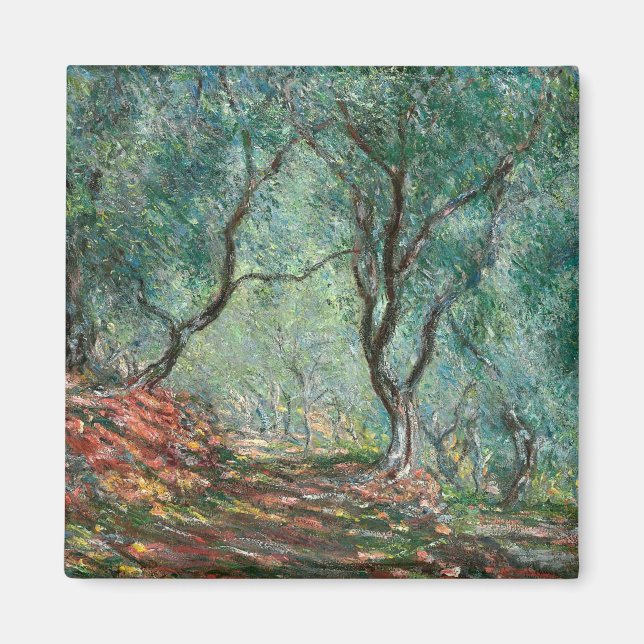 Aimant Bois d'olivier dans les jardins de Moreno (par Mon (Devant)