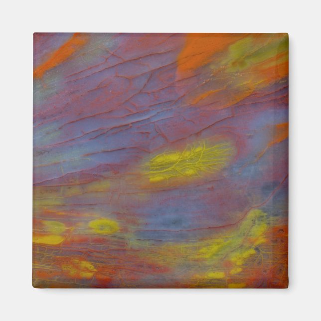 Aimant Bois Pétrifié en Gros Plan (Devant)