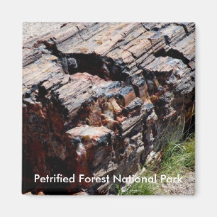 Aimant Bois Petrified