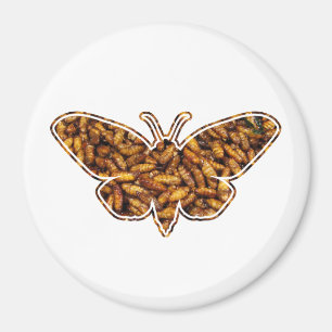 Aimant Bombyx Mori Silk Moth Cycle de vie Silhouette