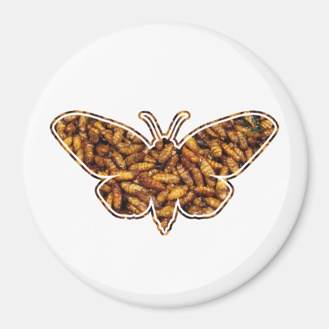 Aimant Bombyx Mori Silk Moth Cycle de vie Silhouette (Devant)