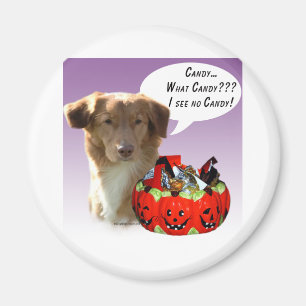 Aimant Bonbons d'Halloween de la Nouvelle-Écosse