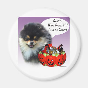 Aimant Bonbons d'Halloween de Poméranie (blktan)