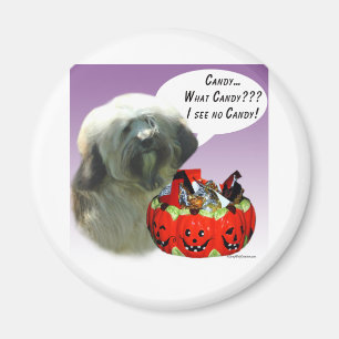 Aimant Bonbons d'Halloween Tibétain Terrier