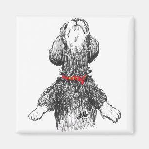 Aimant Bonheur de Havanese - chiot de danse !