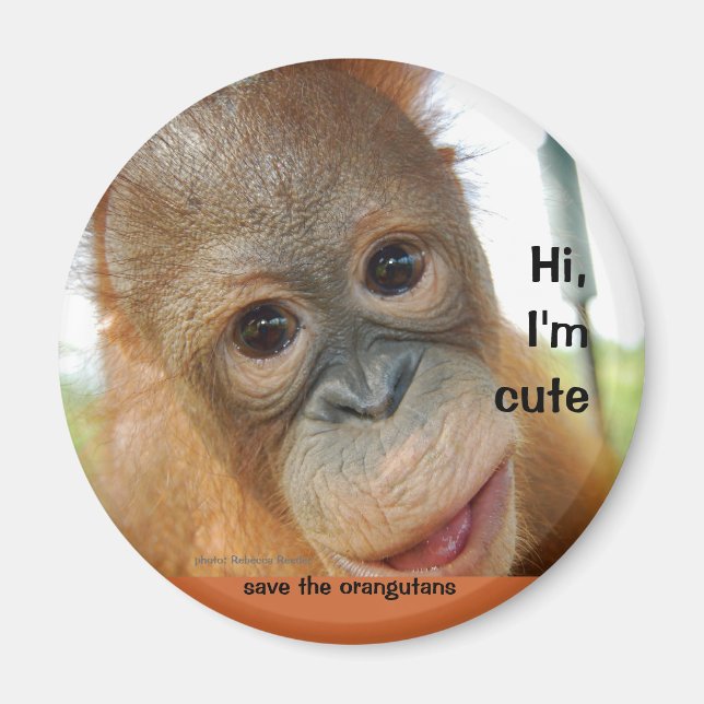 Aimant Bonjour Bébé mignon Orangutan (Devant)