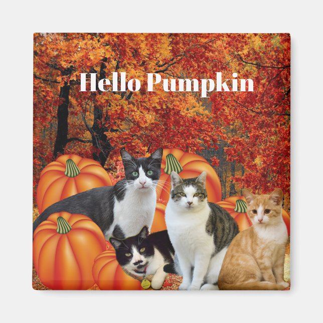 Aimant Bonjour Citrouille Saison Automnale Chats dans le  (Devant)