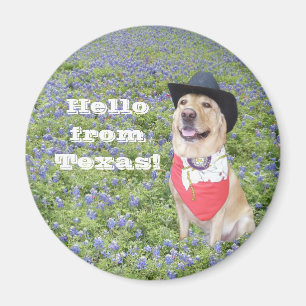 Aimant Bonjour du Texas !