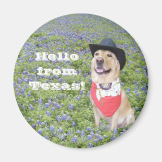 Aimant Bonjour du Texas !