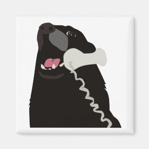 Aimant BONJOUR OUI C'EST LE CHIEN téléphone