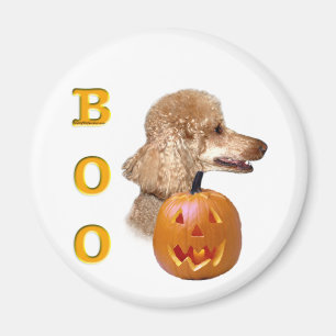 Aimant Boo de caniche recouvert d'abricot