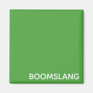 Aimant Boomslang green color