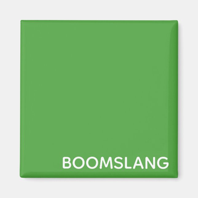 Aimant Boomslang green color (Devant)