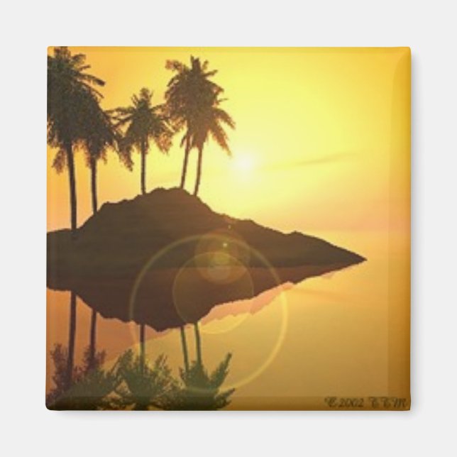 Aimant Bora (Devant)