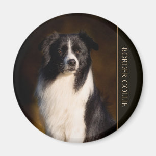 Aimant Border collie