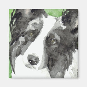 Aimant Border Collie Aquarelle
