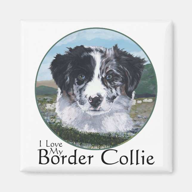 Aimant Border Collie au travail (Devant)