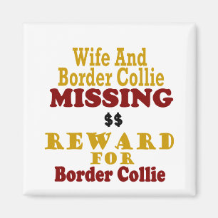 Aimant Border collie et récompense absente d'épouse pou