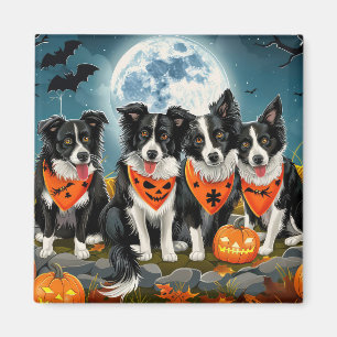Aimant Border Collie Halloween Effrayant
