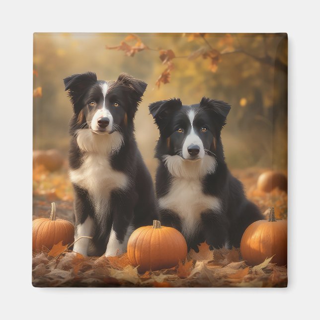 Aimant Border Collie Jeune Automne Délice Citrouille (Devant)