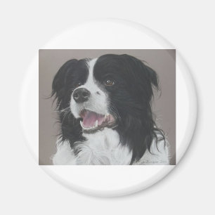 Aimant Bordure Collie 3