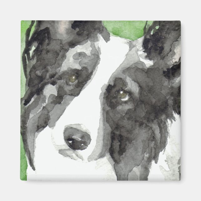 Aimant Bordure Collie Aquarelle (Devant)