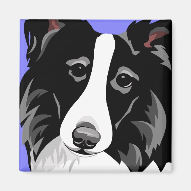Aimant Bordure Collie Chien (Devant)