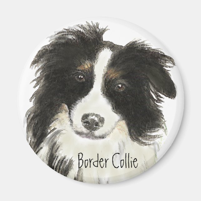 Aimant Bordure Collie Chien o (Devant)