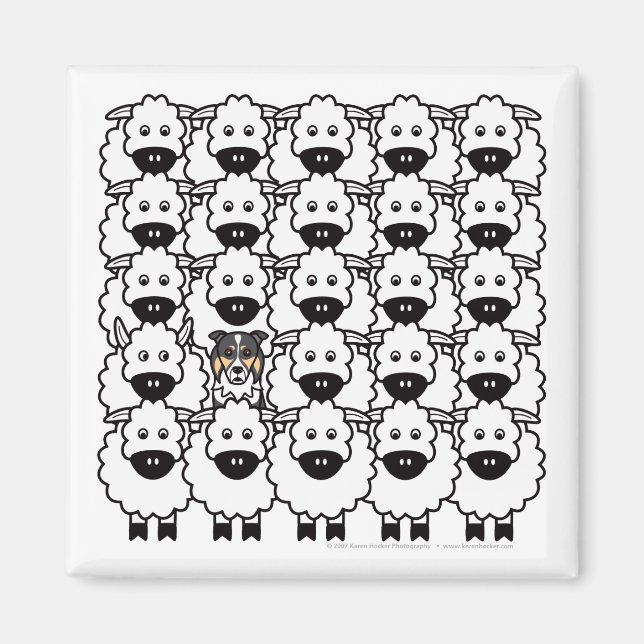 Aimant Bordure Collie dans le mouton (Devant)