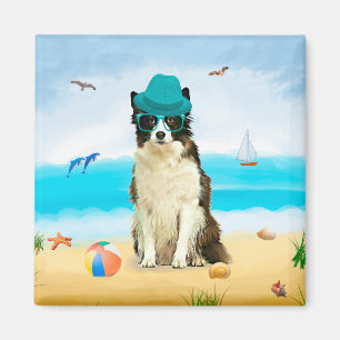 Aimant Bordure Collie Dog sur la plage
