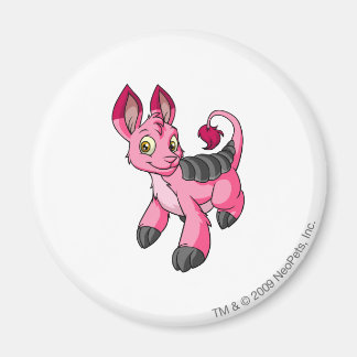 Aimant Bori Pink