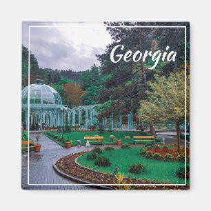 Aimant Borjomi Georgia Sources d'eau chaude Caucuses Mont