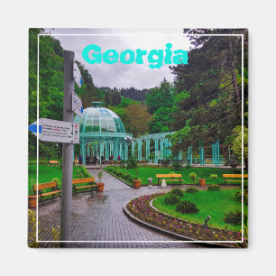 Aimant Borjomi Georgia Sources d'eau chaude Caucuses Mont