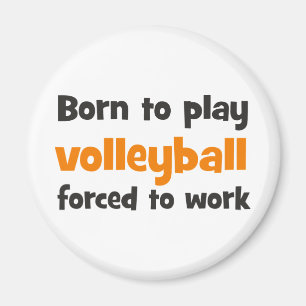 Aimant borto play volley forced to work