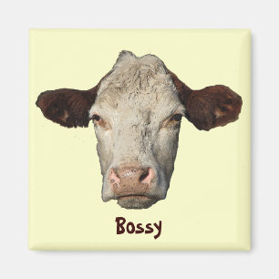 Aimant Bossy la vache