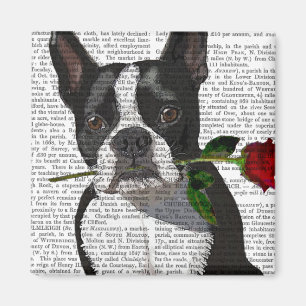 Aimant Boston Terrier avec Rose dans la bouche