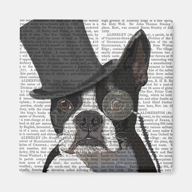 Aimant Boston Terrier, Formal Hound and Hat (Devant)